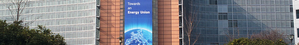 The Spring European Council - a Beginning for the Energy Union?